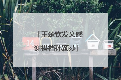 王楚钦发文感谢搭档孙颖莎