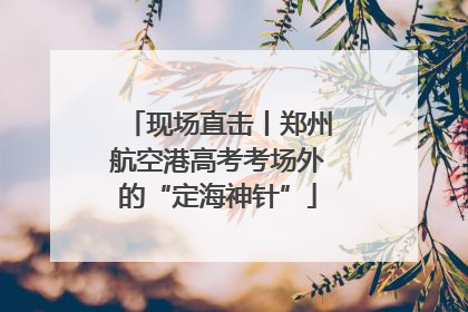 现场直击丨郑州航空港高考考场外的“定海神针”