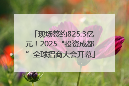 现场签约825.3亿元！2025“投资成都”全球招商大会开幕