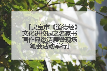 灵宝市《道德经》文化进校园之名家书画作品邀请展暨现场笔会活动举行