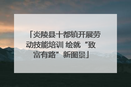 炎陵县十都镇开展劳动技能培训 绘就“致富有路”新图景
