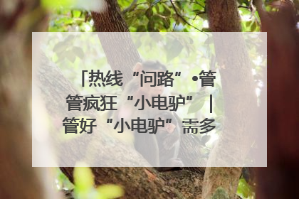 热线“问路”•管管疯狂“小电驴”｜管好“小电驴”需多部门形成合力