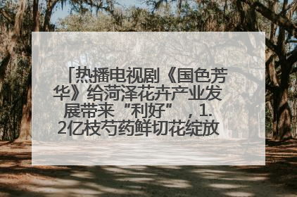 热播电视剧《国色芳华》给菏泽花卉产业发展带来“利好”，1.2亿枝芍药鲜切花绽放“国色芳华”