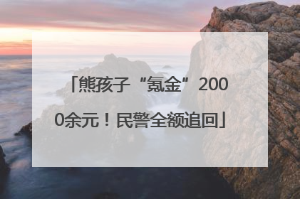 熊孩子“氪金”2000余元！民警全额追回