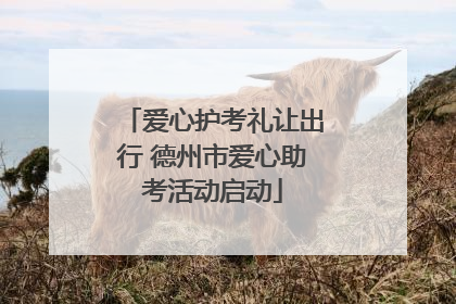 爱心护考礼让出行 德州市爱心助考活动启动