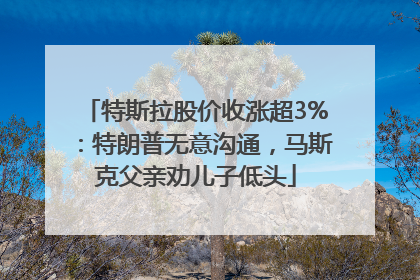 特斯拉股价收涨超3%：特朗普无意沟通，马斯克父亲劝儿子低头