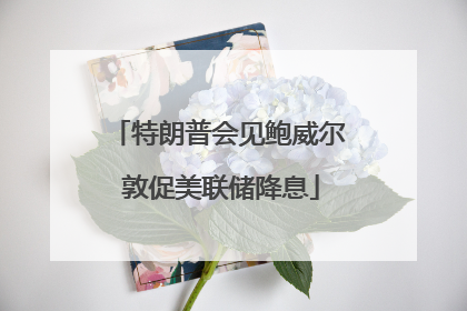 特朗普会见鲍威尔 敦促美联储降息