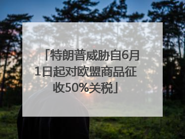 特朗普威胁自6月1日起对欧盟商品征收50%关税