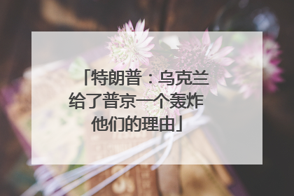 特朗普：乌克兰给了普京一个轰炸他们的理由