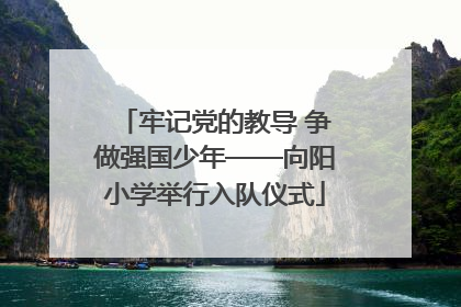 牢记党的教导 争做强国少年——向阳小学举行入队仪式
