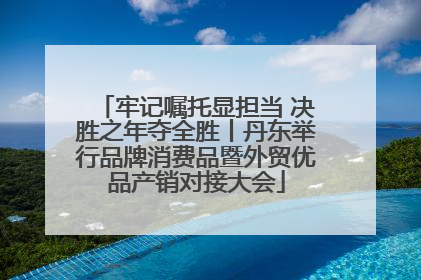 牢记嘱托显担当 决胜之年夺全胜丨丹东举行品牌消费品暨外贸优品产销对接大会