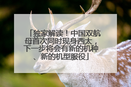 独家解读！中国双航母首次同时现身西太，下一步将会有新的机种、新的机型服役