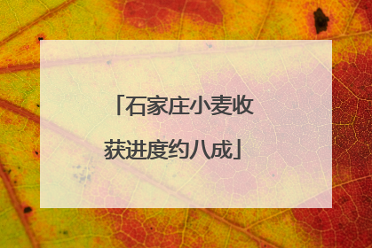 石家庄小麦收获进度约八成