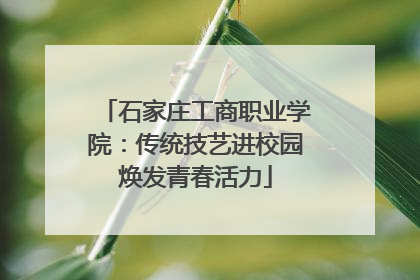 石家庄工商职业学院：传统技艺进校园焕发青春活力