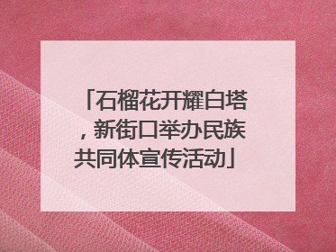石榴花开耀白塔，新街口举办民族共同体宣传活动
