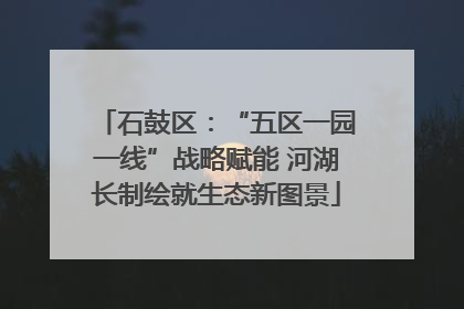 石鼓区：“五区一园一线”战略赋能 河湖长制绘就生态新图景