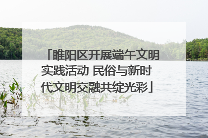 睢阳区开展端午文明实践活动 民俗与新时代文明交融共绽光彩