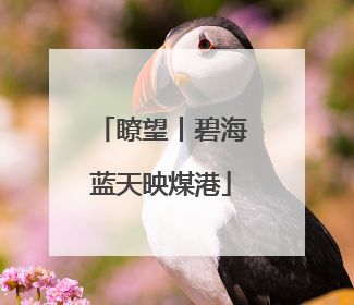 瞭望丨碧海蓝天映煤港
