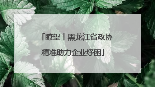 瞭望丨黑龙江省政协精准助力企业纾困