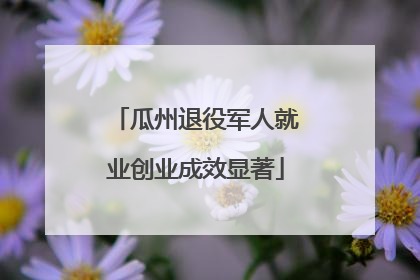 瓜州退役军人就业创业成效显著