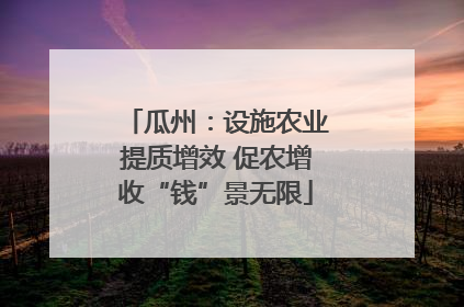 瓜州：设施农业提质增效 促农增收“钱”景无限