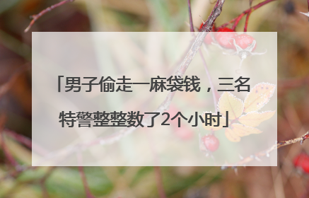 男子偷走一麻袋钱，三名特警整整数了2个小时