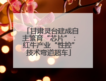 甘肃灵台建成自主繁育“芯片”：红牛产业“性控”技术弯道超车