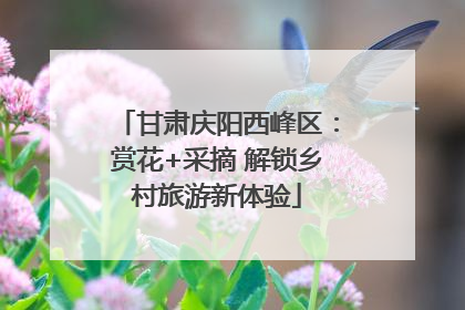 甘肃庆阳西峰区：赏花+采摘 解锁乡村旅游新体验