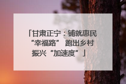 甘肃正宁：铺就惠民“幸福路” 跑出乡村振兴“加速度”