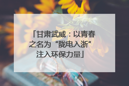 甘肃武威：以青春之名为“陇电入浙”注入环保力量
