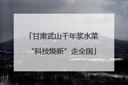 甘肃武山千年浆水菜“科技焕新”走全国