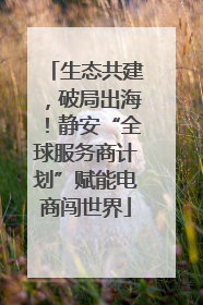 生态共建，破局出海！静安“全球服务商计划”赋能电商闯世界