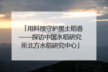 用科技守护黑土稻香——探访中国水稻研究所北方水稻研究中心