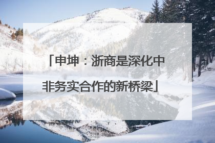 申坤：浙商是深化中非务实合作的新桥梁