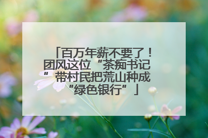 百万年薪不要了！团风这位“茶痴书记”带村民把荒山种成“绿色银行”