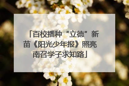 百校播种“立德”新苗《阳光少年报》照亮南召学子求知路