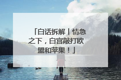 白话拆解丨情急之下，白宫敲打欧盟和苹果！