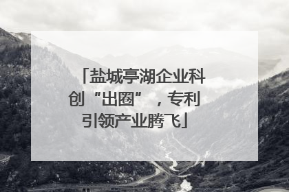 盐城亭湖企业科创“出圈”，专利引领产业腾飞