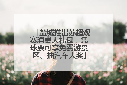 盐城推出苏超观赛消费大礼包，凭球票可享免费游景区、抽汽车大奖