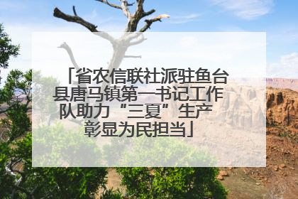 省农信联社派驻鱼台县唐马镇第一书记工作队助力“三夏”生产 彰显为民担当