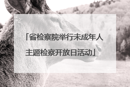 省检察院举行未成年人主题检察开放日活动