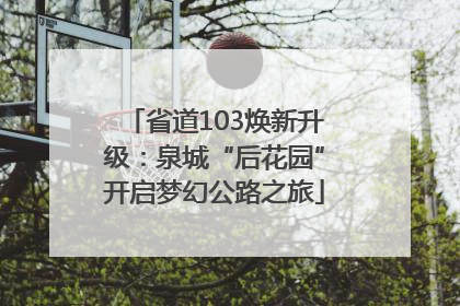 省道103焕新升级：泉城“后花园”开启梦幻公路之旅