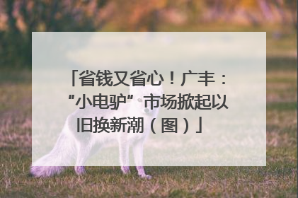 省钱又省心！广丰：“小电驴”市场掀起以旧换新潮（图）