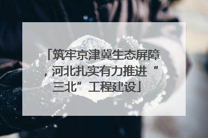 筑牢京津冀生态屏障，河北扎实有力推进“三北”工程建设