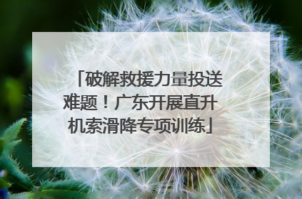 破解救援力量投送难题！广东开展直升机索滑降专项训练