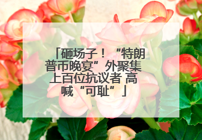 砸场子！“特朗普币晚宴”外聚集上百位抗议者 高喊“可耻”