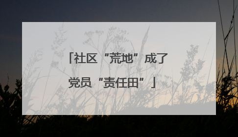 社区“荒地”成了党员“责任田”