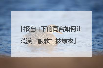 祁连山下的高台如何让荒漠“服软”披绿衣