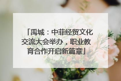 禹城：中菲经贸文化交流大会举办，职业教育合作开启新篇章