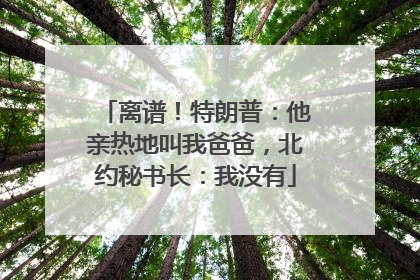 离谱！特朗普：他亲热地叫我爸爸，北约秘书长：我没有